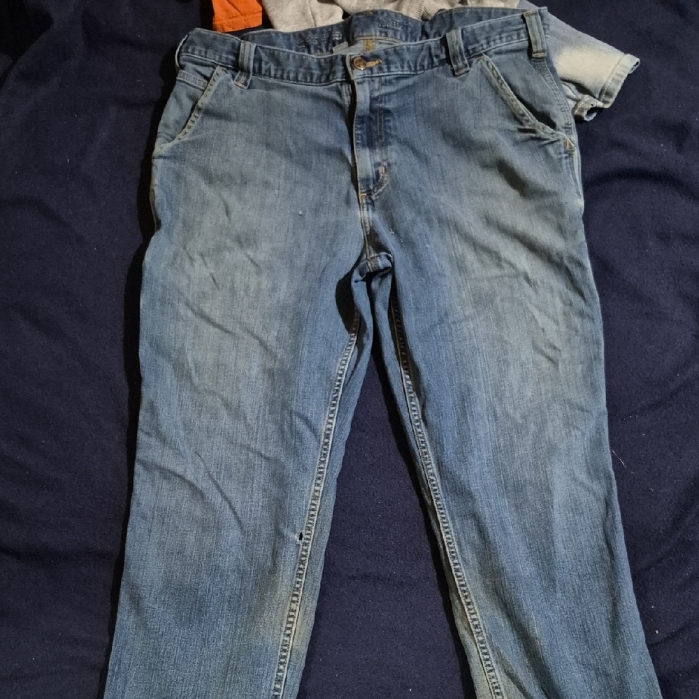 Carhartt Men's Straight Blue Jeans